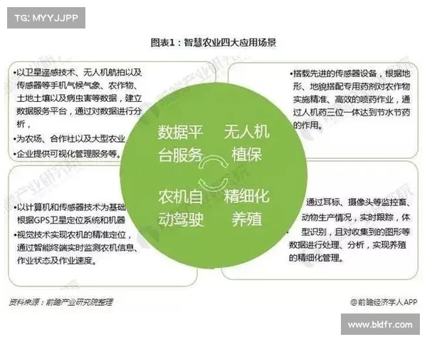 搜狗彩票网全新上线，提供精准数据分析与实时购彩信息服务